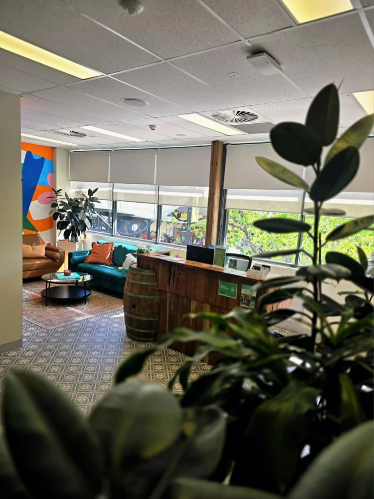 Reception desk and lounge seating by large windows, seen through leafy plants